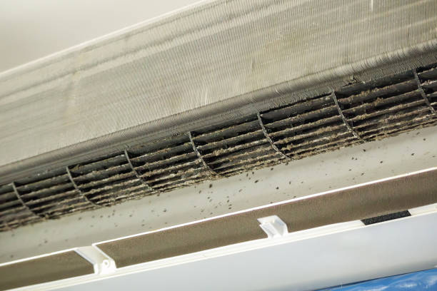 Best Air Duct Cleaning Company Near Me  in Swannanoa, NC