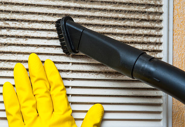 Best Air Duct Mold Removal  in Swannanoa, NC